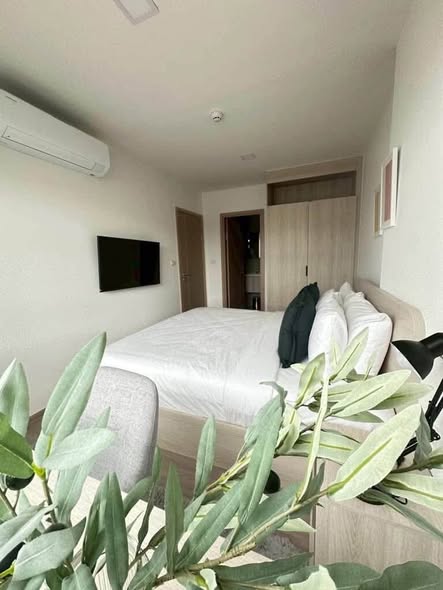 The Base Bukit Phuket | เดอะ เบส บูกิต 2 ห้องนอน | 2 ห้องน้ํา พิกัด: ตึก B ชั้น 2 | ขนาด: 50.85 ตร.ม. ห้องสวย ราคาดีที่สุดในโครงการ พร้อมเข้