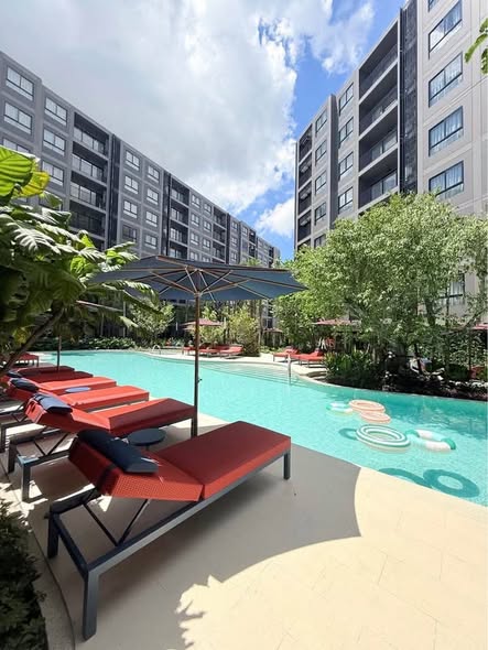 erms • 2 Months Security Deposit + 1 Month Rent in Advance Property 1 Bedroom | 30 sq