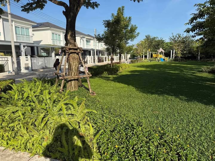 for rent at Supalai Primo, Near Phuket Town 💰 35,000 Baht / Month