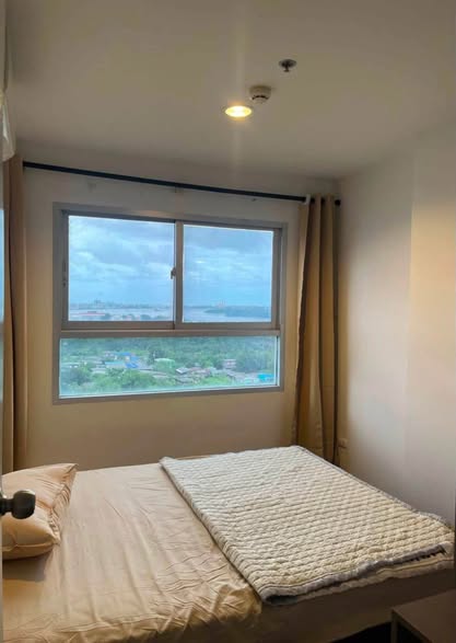 For Rent The Trust Erawan Next to BTS Erawan Station 29 sq