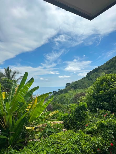 Exclusive Sea View Land for Long-Term Lease – Kata/Karon, Phuket I am the landowner and I am offering a rare oppo