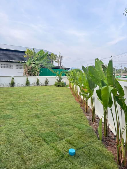 3-Bedroom House in Chalong – 45k Empty or 65k Furnished Description: This spacious 3-bedroom house in Cha